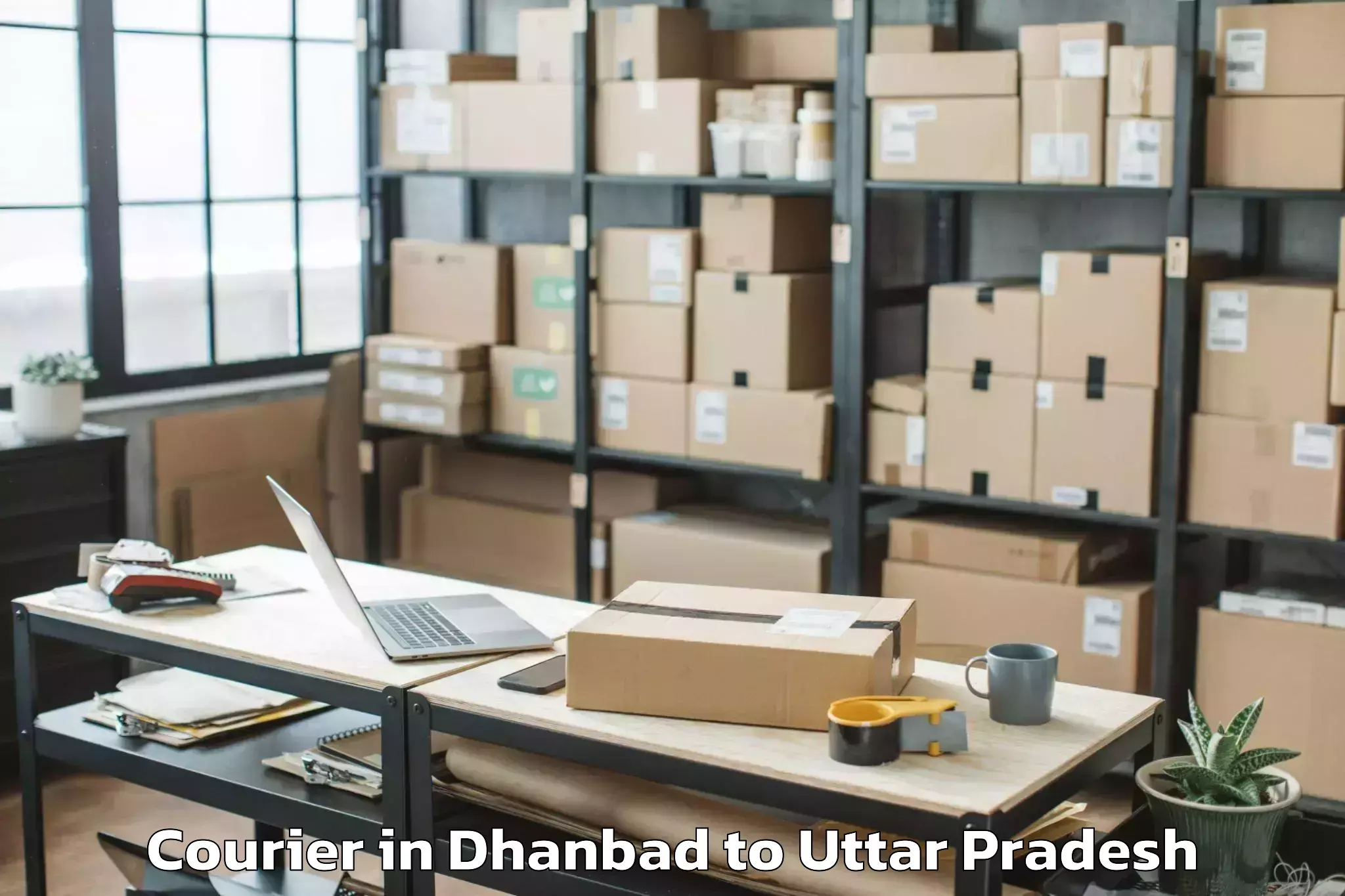 Book Dhanbad to Sikandra Rao Courier